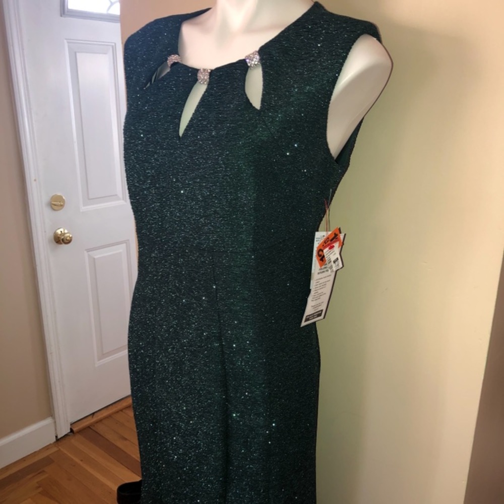 Never worn with tags. Size 12 R&M Richards gown.
